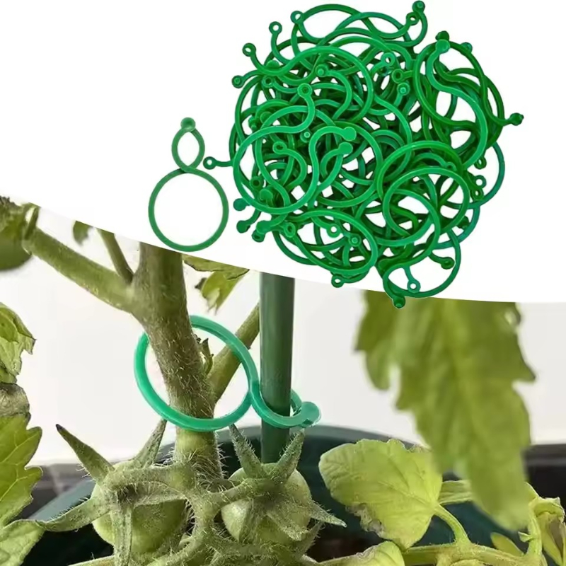 Vine Climbing Plastic - 50-400 stuks plantensteunclips, weerbestendige plastic tuinclips