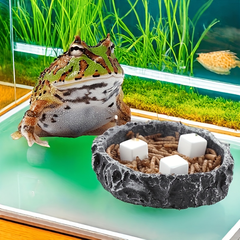6 Stuks Voor Reptiel Slijpen S - Calcium Powder Reptile recensie en prijs