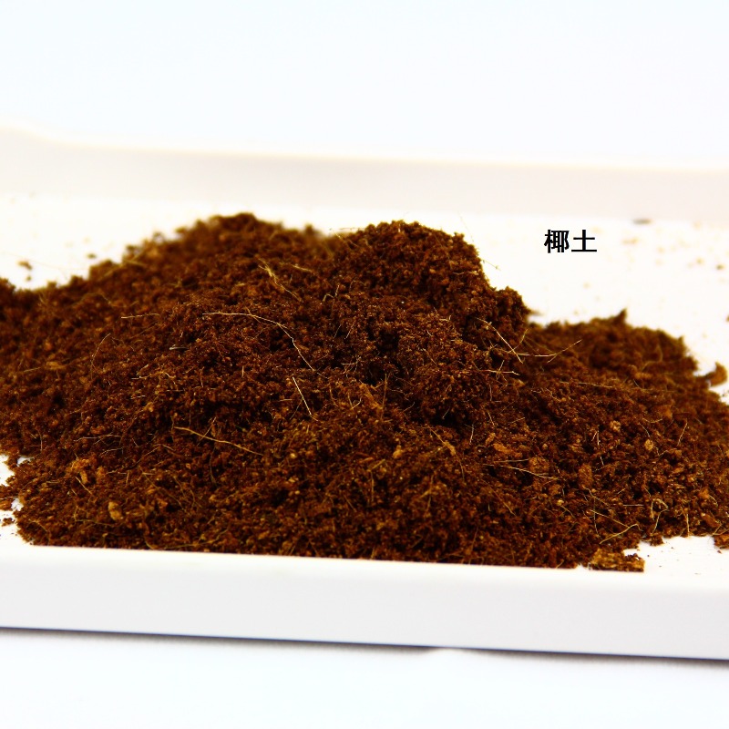 Kokosbodemsteen Reptielensubst - Substrate Coconut Fiber recensie en prijs