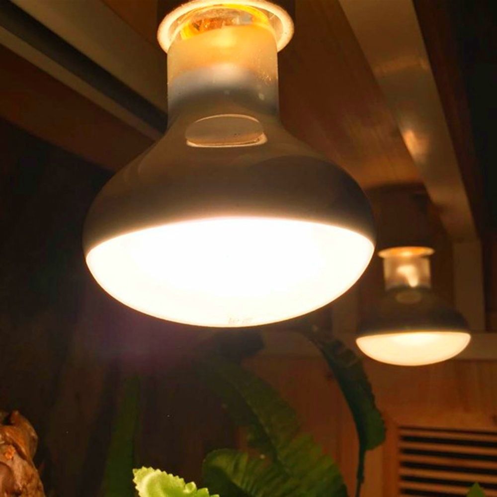 Hagedisverwarmer Temperatuurre - Basking Bulb Halogen recensie en prijs