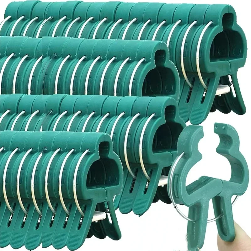 Plant Vaste Clips Herbruikbare - Vine Climbing Plastic recensie en prijs