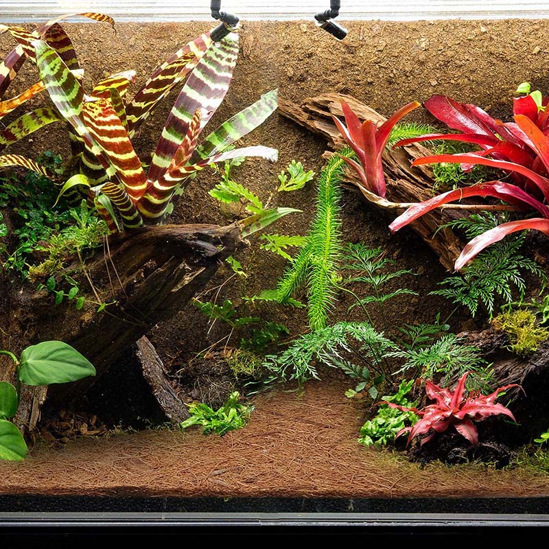 AB33-Natuurlijke Kokosvezelmat - Substrate Coconut Fiber recensie en prijs