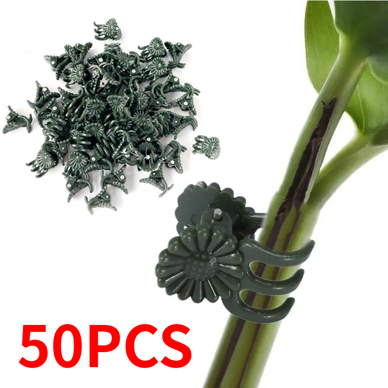 50 STUKS 5-Klauw Donkergroene  - Vine Climbing Plastic recensie en prijs