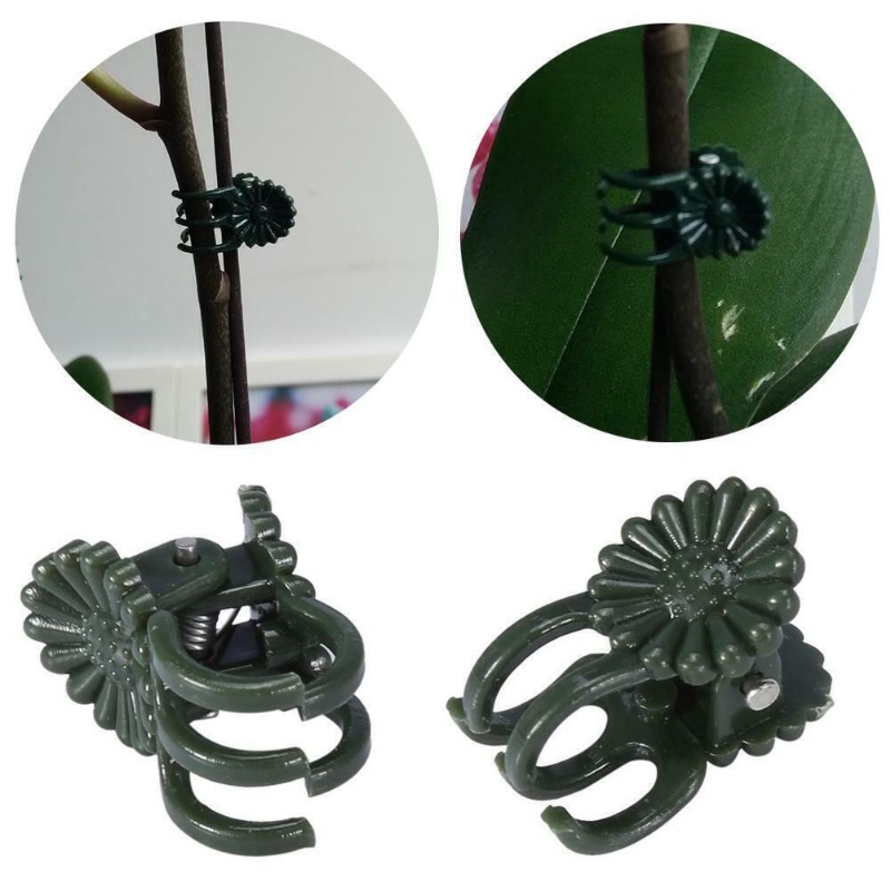 50 STUKS 5-Klauw Donkergroene  - Vine Climbing Plastic recensie en prijs