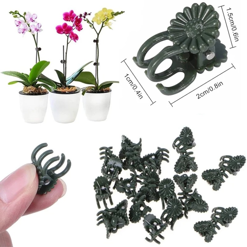 50 STUKS 5-Klauw Donkergroene  - Vine Climbing Plastic recensie en prijs