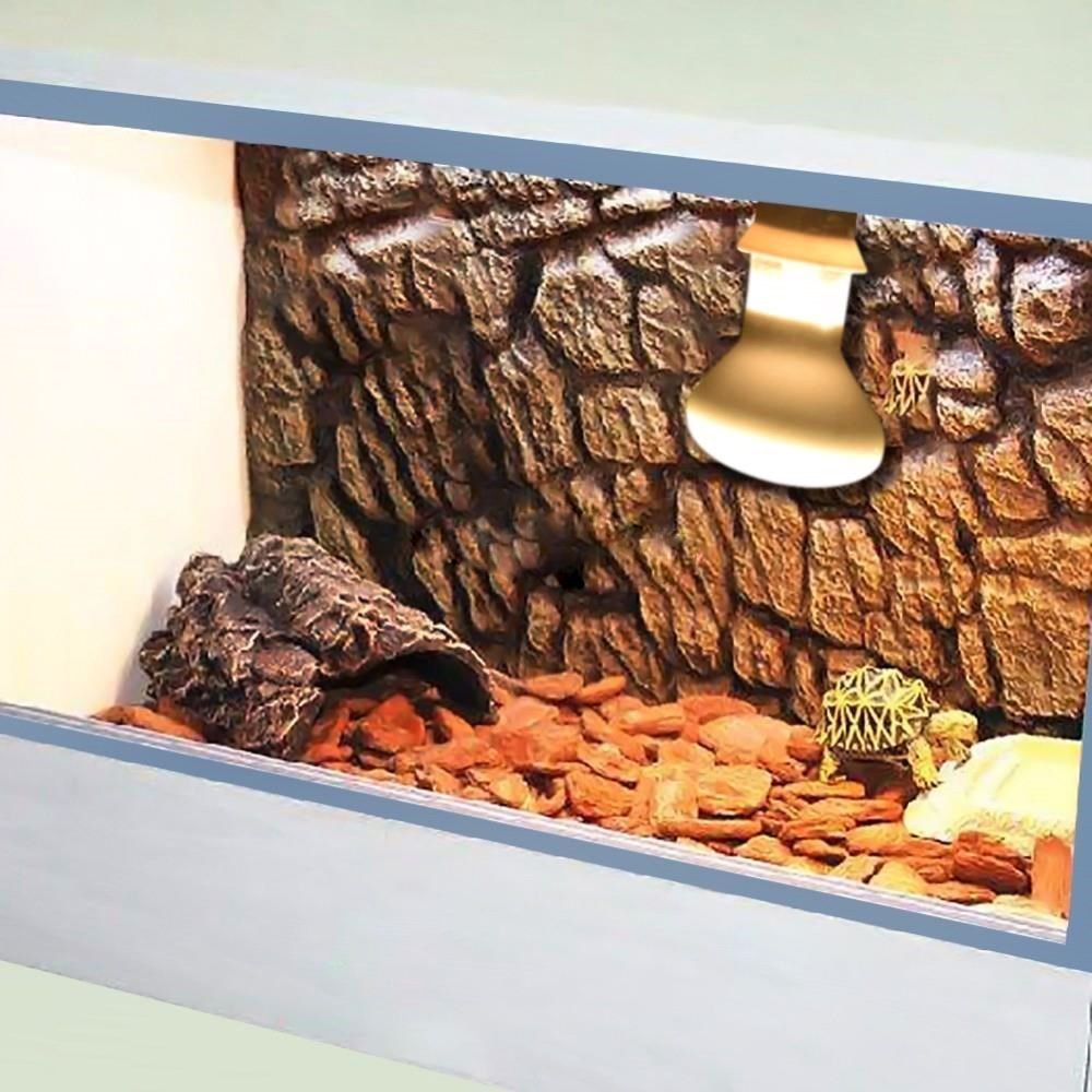 Schildpadverwarmer Warmtelamp  - Basking Bulb Halogen recensie en prijs