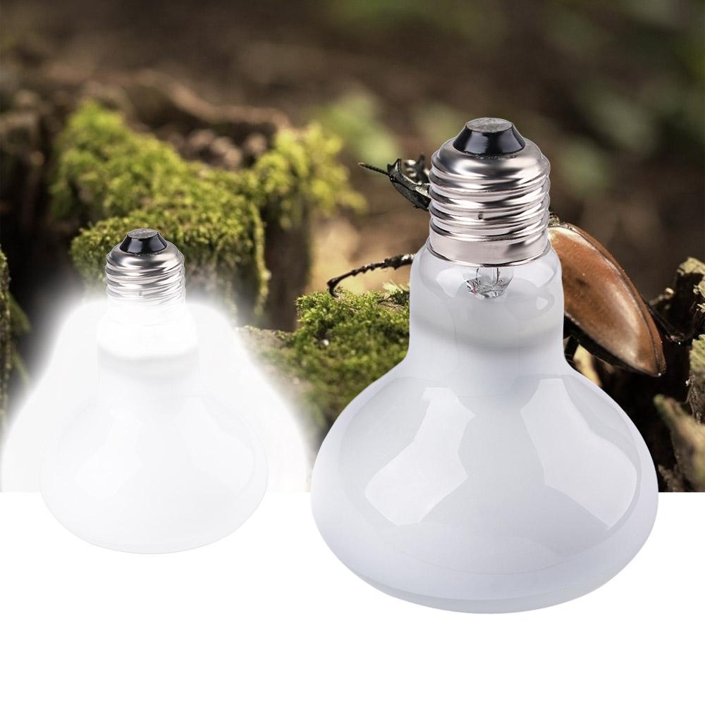 Schildpadverwarmer Warmtelamp  - Basking Bulb Halogen recensie en prijs