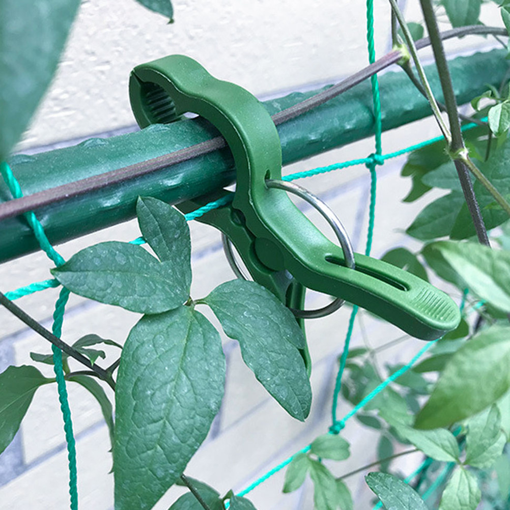 60 stuks tuinplantenklemmen, p - Vine Climbing Plastic recensie en prijs